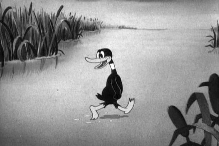 Salve-se Quem puder #05 – Coitado do Pato